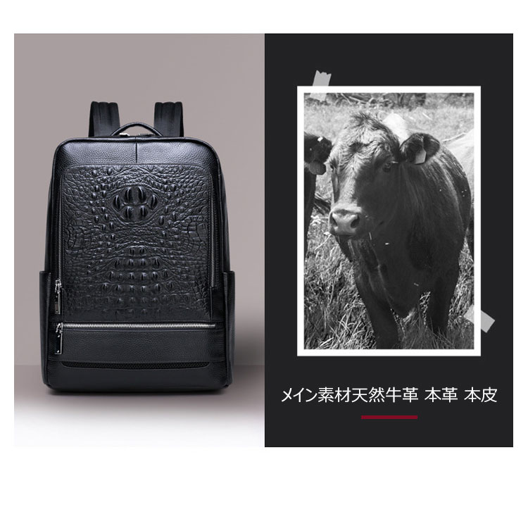 Whatna 牛革 ビジネスバッグメンズ バッグ 手提げ・リュックの2WAY 本革 厚手本革 A4 15.6インチpc収納可 大容量 盗難防止 旅行 出張用 通勤 通学 就活 面接 バッグ かばん 男性用 黒(66298) 6