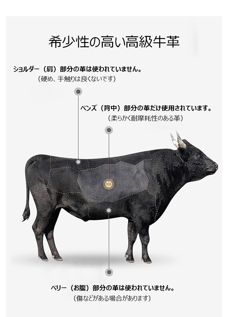 Whatna 2way 牛革 クロコダイル型押し ショルダーバッグ メンズ ポシェットipad9.7 収納可 縦型 メンズビジネスかばん斜めがけ 通勤バッグ 肩掛けバッグ 紳士用 男性用 黒 KD630-3-7