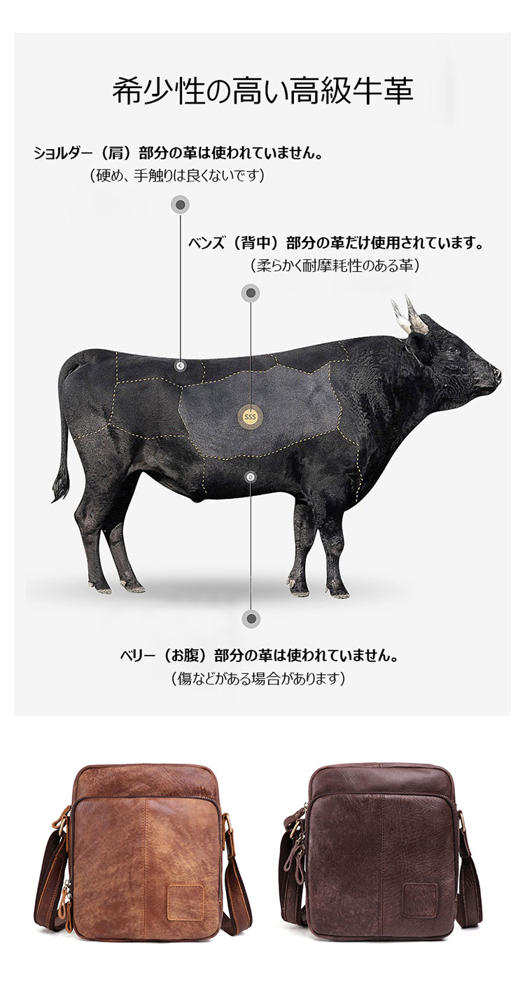 Whatna 2way 天然 牛革 ショルダーバッグ メンズ ポシェットポお財布 5枚カード ipad9.7 収納可 三室仕切 横型 縦型 小さめメッセンジャーバッグ 斜め掛け通学通勤バッグ 肩掛けバッグ 紳士用 男性用 ブラウン6423-9