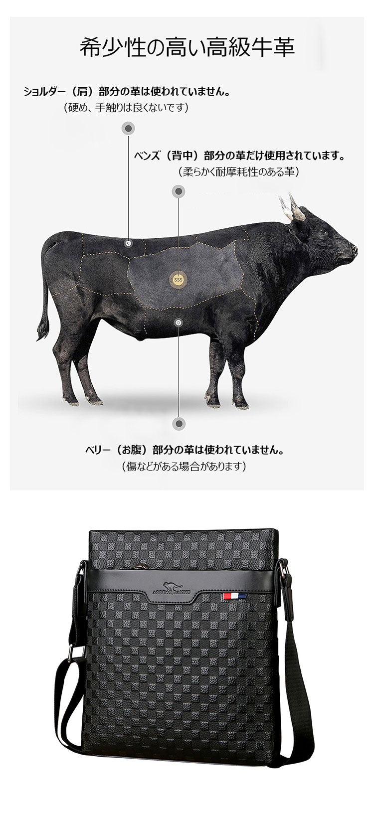 Whatna 天然 牛革ショルダーバッグ メンズ メッセンジャーバッグ厚手 本 革 レザー 縦型 小さめビジネスバッグ ipad 10.5収納可 革 通勤 通学 斜めがけバッグ オシャレ な シンプル な 軽量 実用 自転車 かばん男性用（2048）-6