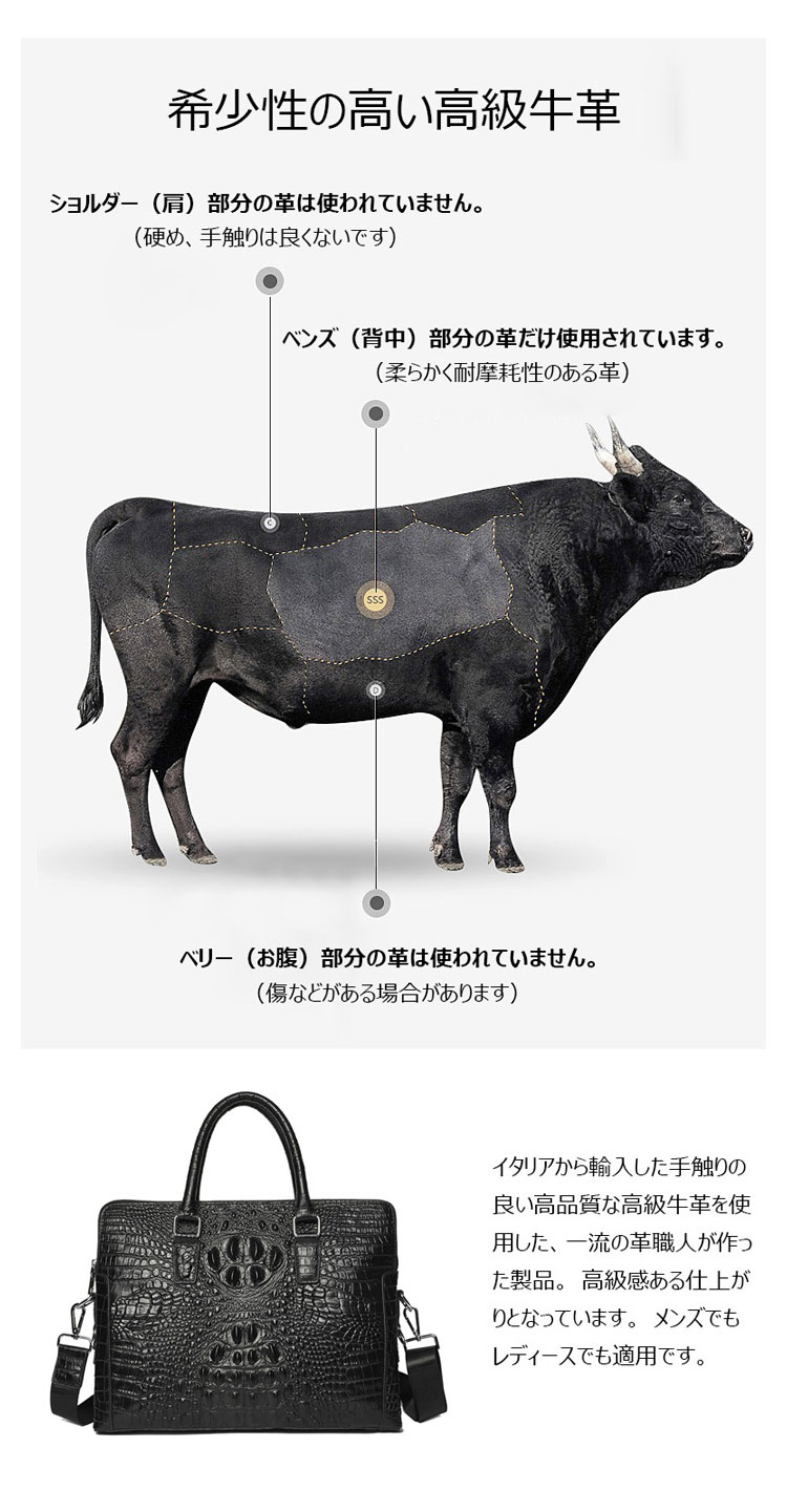 Whatna 牛革 クロコダイル型押し ビジネス バッグメンズ 2way ショルダー 手提げバッグ 2室仕切 リーフケース 14インチPC対応 旅行 出張 通勤 通学 就活 面接 バッグ かばん 男性用 WA60-5-5