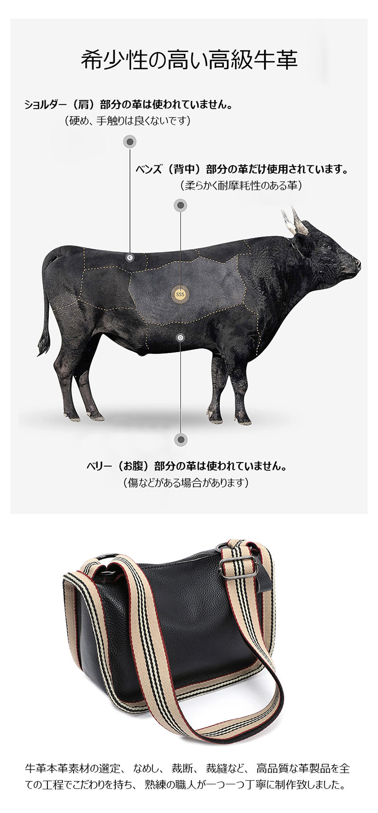 Whatna 天然 牛革 ショルダーバッグ レディース メッセンジャーバッグ小さめ ビジネスバッグ ipad Mini収納可 横型 本革 通勤 通学 斜めがけバッグ オシャレ な シンプル な 軽量 実用 自転車 かばん女性用 黒-14