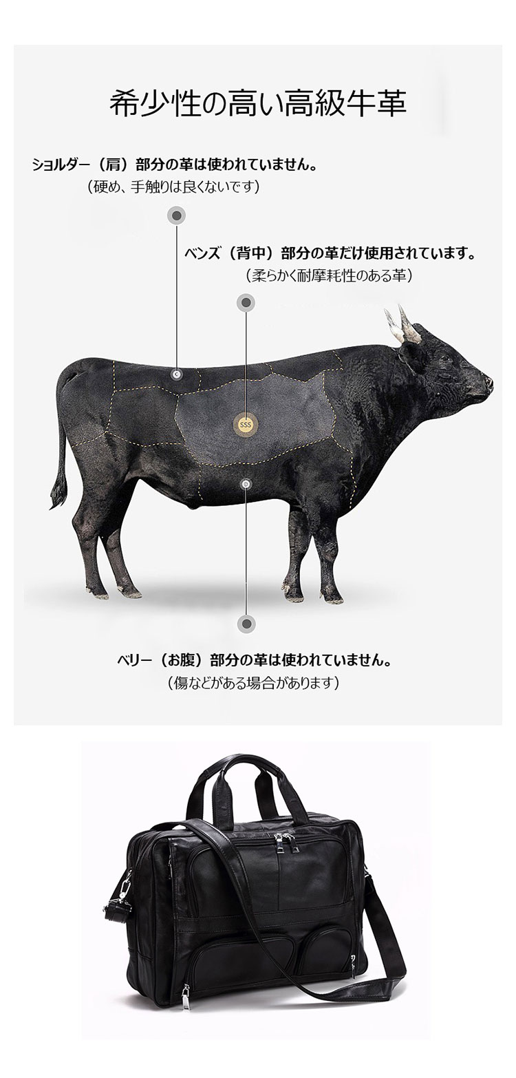Whatna 天然 牛革  ビジネス バッグメンズ  手提げバッグ 2本入ペンホルダー付 ブリーフケース 3室仕切 大容量 15.6インチPC対応 旅行 出張 通勤 通学 就活 面接 バッグ かばん 男性用 xy1015-7