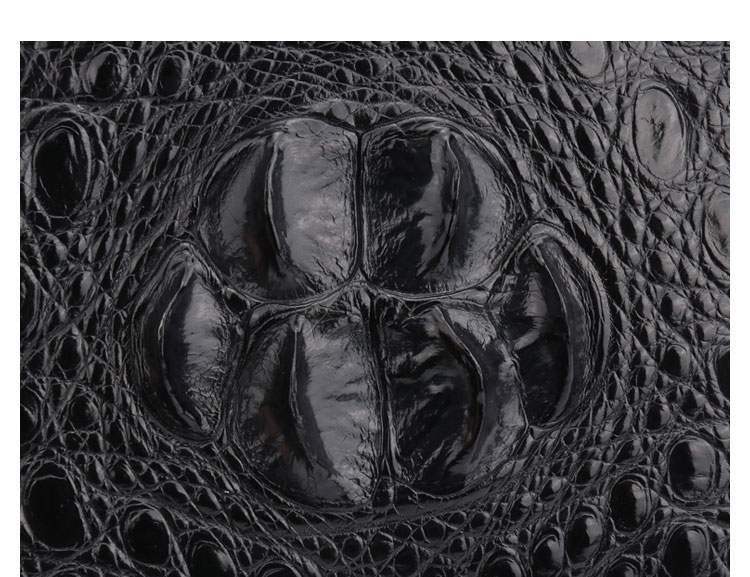 Whatna ワニ革 本革 ショルダーバッグ メンズ メッセンジャーバッグ 縦型 小さめ ビジネスバッグ 9.7インチipad収納可 クロコダイル革 本皮 通勤 通学 斜めがけバッグ かばん男性用 ブラウン 黒（1121）-8