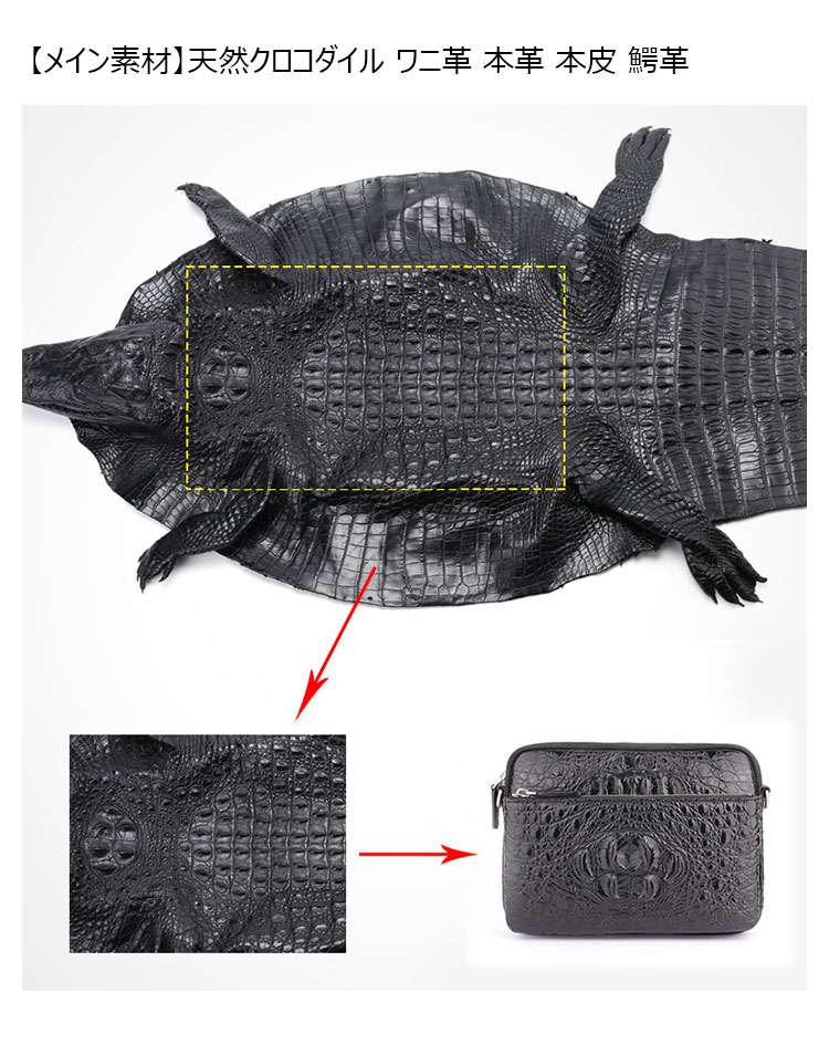 Whatna ワニ革 本革 ミニショルダーバッグ メンズ ポシェットポ メッセンジャーバッグ 縦型 ipad mini収納可 さめ ビジネスバッグクロコダイル革 本皮 通勤 通学 斜めがけバッグ かばん男性用 ブラウン 黒（1132）-7