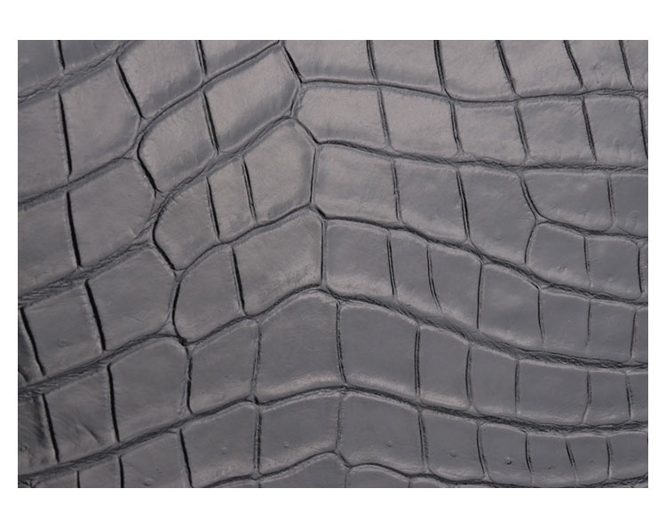 Whatna ワニ革 本革 ビジネス バッグメンズ 2way ショルダー 手提げバッグ  斜め掛け 手持ち 肩掛けバッグ クロコダイル革 ブリーフケース 15.6インチPC対応 旅行 出張 通勤 通学 就活 面接 バッグ 1606B-7