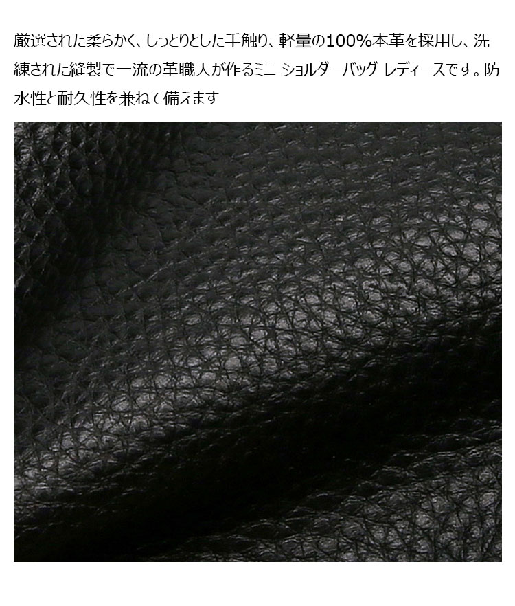 Whatna 牛 革 2セット ミニ ショルダーバッグ レディース 斜めがけボディ胸バッグ 小銭入れ付 小さめ 本 革 厚手 レザー軽量 ショルダー 肩掛け ミニバッグ 女性 通勤 旅行 バッグ スマホポーチ 99074-3