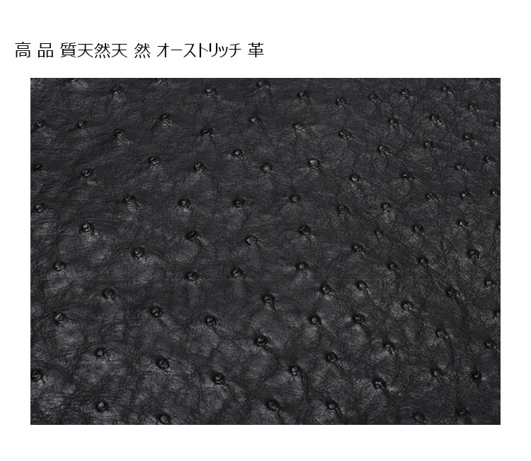 Whatna 天 然 オーストリッチ 革 ビジネス バッグメンズ 手提げ