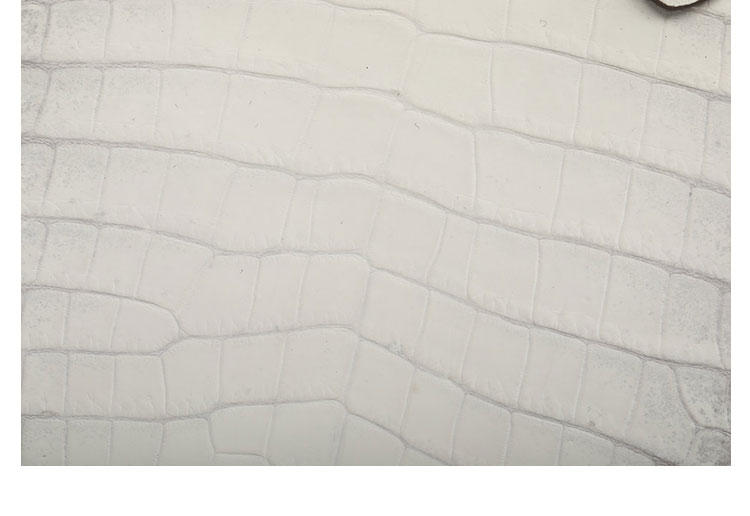 Whatna ミニ ショルダーバッグ レディース トートバッグ  手持ちバッグ マザーズバッグ クラッチバッグ 小さめ 本 革 本 皮上ショルダー 肩掛け ミニバッグ 女性 通勤 旅行 バッグ 3455DX-10