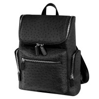 Whatna 天然 オーストリッチ 革 ビジネスバッグメンズ バッグ 手提げ・リュックの2WAY厚手本革 A4 B5 15.6インチpc収納可 大容量 盗難防止 旅行 出張用 通勤 通学 就活 面接 バッグ かばん 男性用 ブラウン